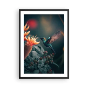 Poster in einem schwarzem Rahmen - Ein bunter Kolibri in der Nähe von Blumen im Grünen - 50x70cm - Wirklich buntes Leben - Moderne Wanddekoration für Wohnzimmer und Schlafzimmer ARTTOR