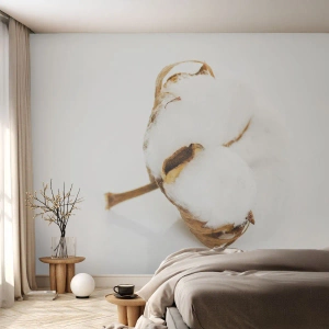 Fototapete Premium Sand - Ein zarter Baumwollzweig auf weißem Hintergrund - 100x70cm - Von Natur aus weich - Moderne Wanddekoration für Wohnzimmer und Schlafzimmer ARTTOR