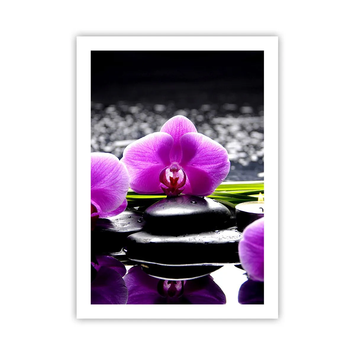 Poster - Eine violette Orchidee vor einem Hintergrund aus Steinen und Wasser in einer Spa-ähnlichen Umgebung - 50x70cm - In Ruhe ertrinken - Moderne Wanddekoration für Wohnzimmer und Schlafzimmer ARTTOR
