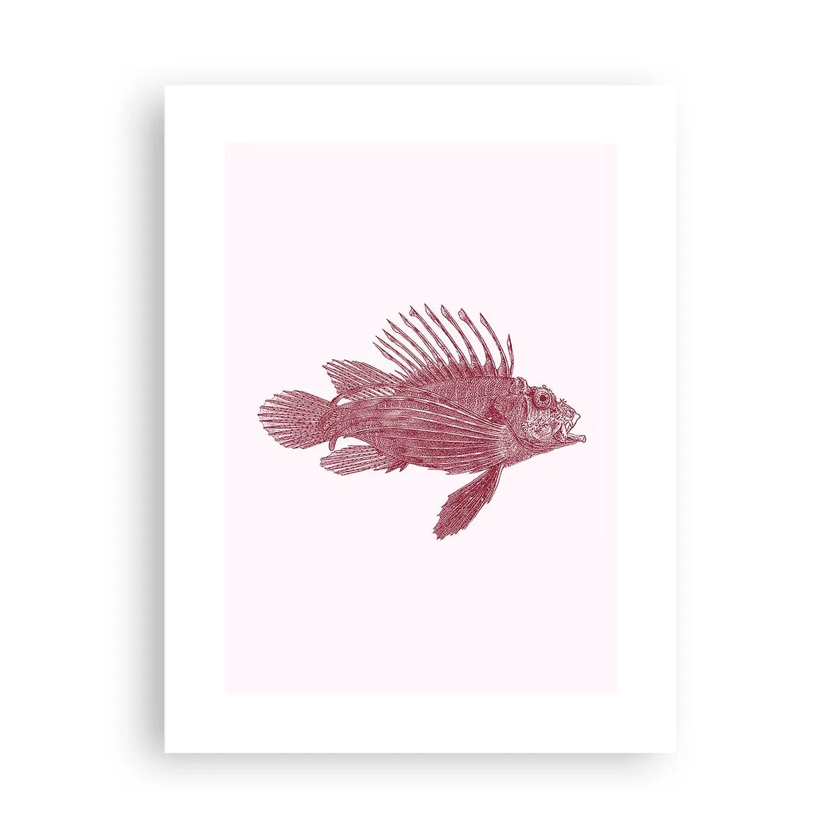 Poster - Bewohner exotischer Gewässer - 30x40 cm