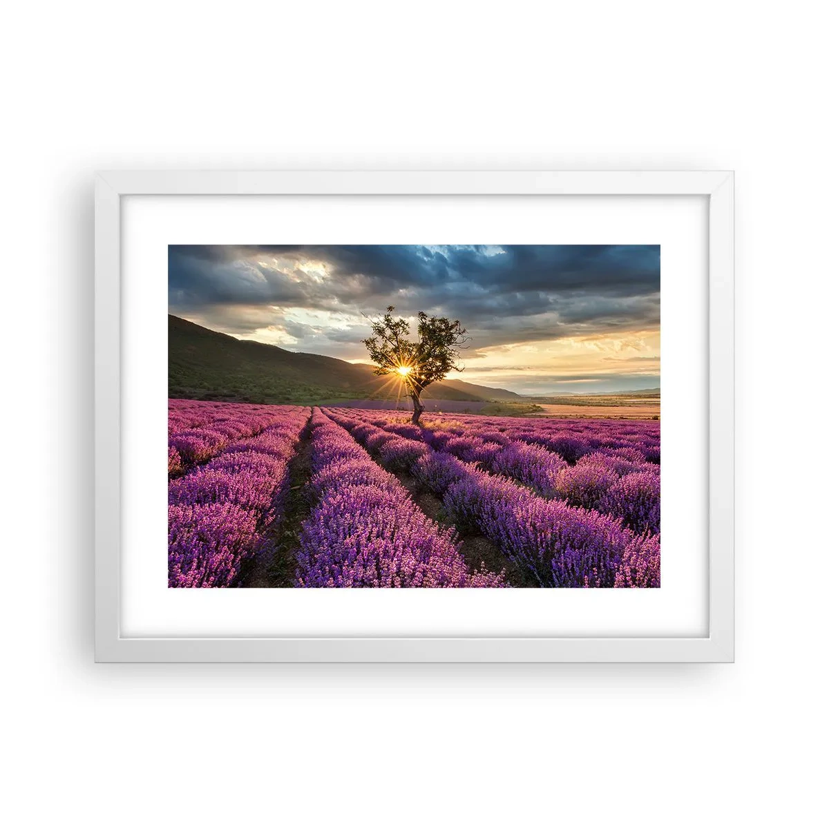 Poster in einem weißen Rahmen - Fliederfarbenes Aroma - 40x30 cm