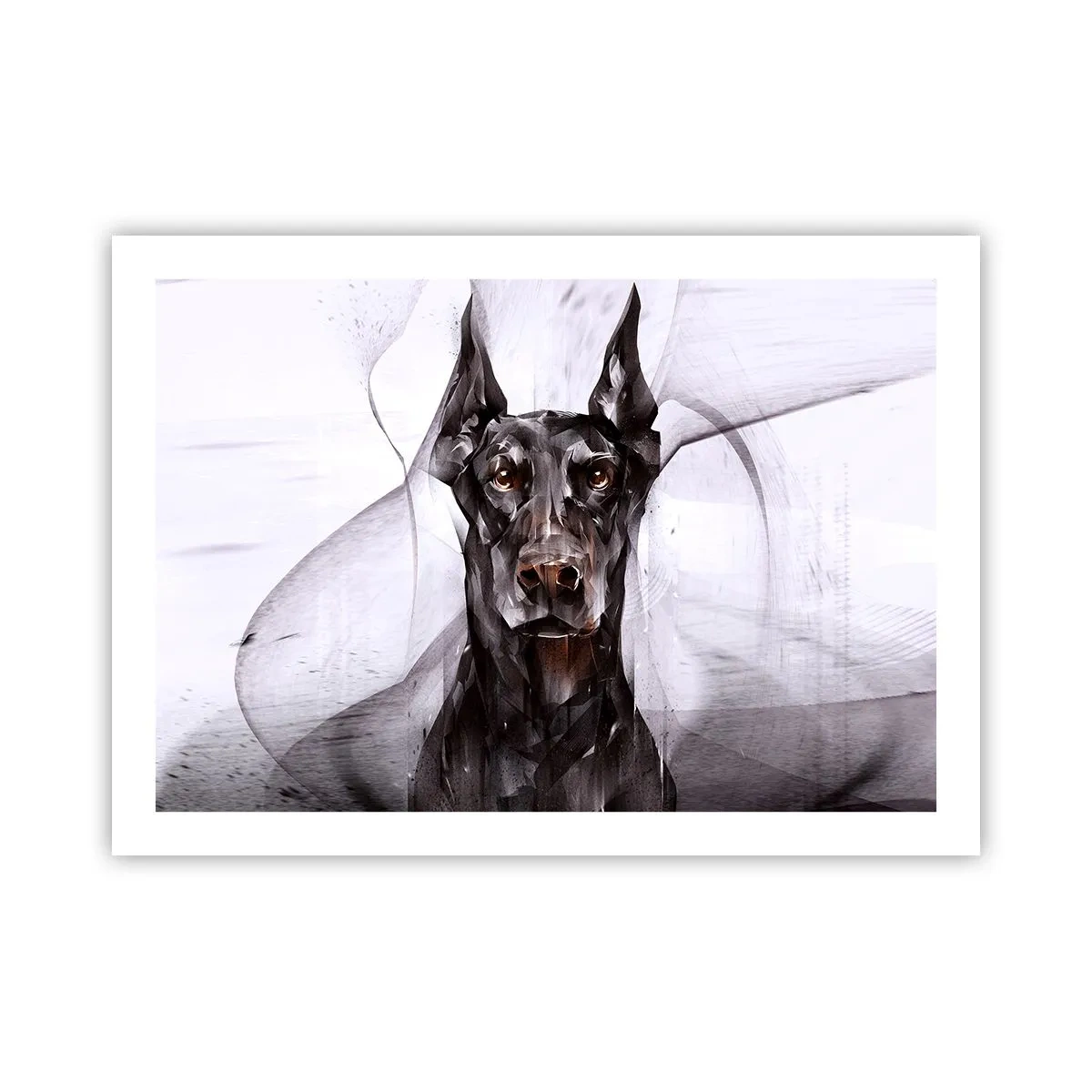 Poster - Edelgeboren - 70x50 cm