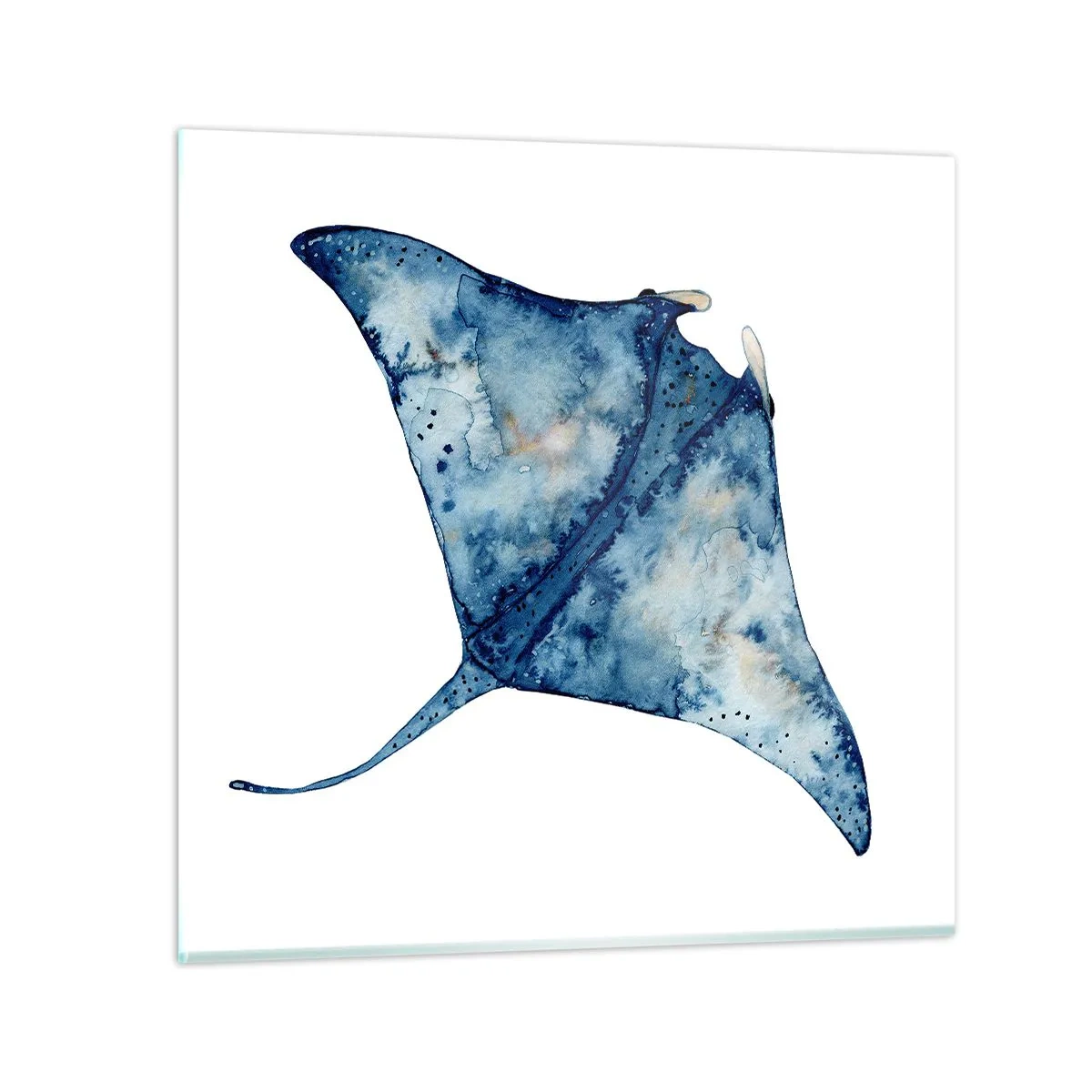 Glasbild - Bild auf glas - Leben im Blau - 70x70 cm
