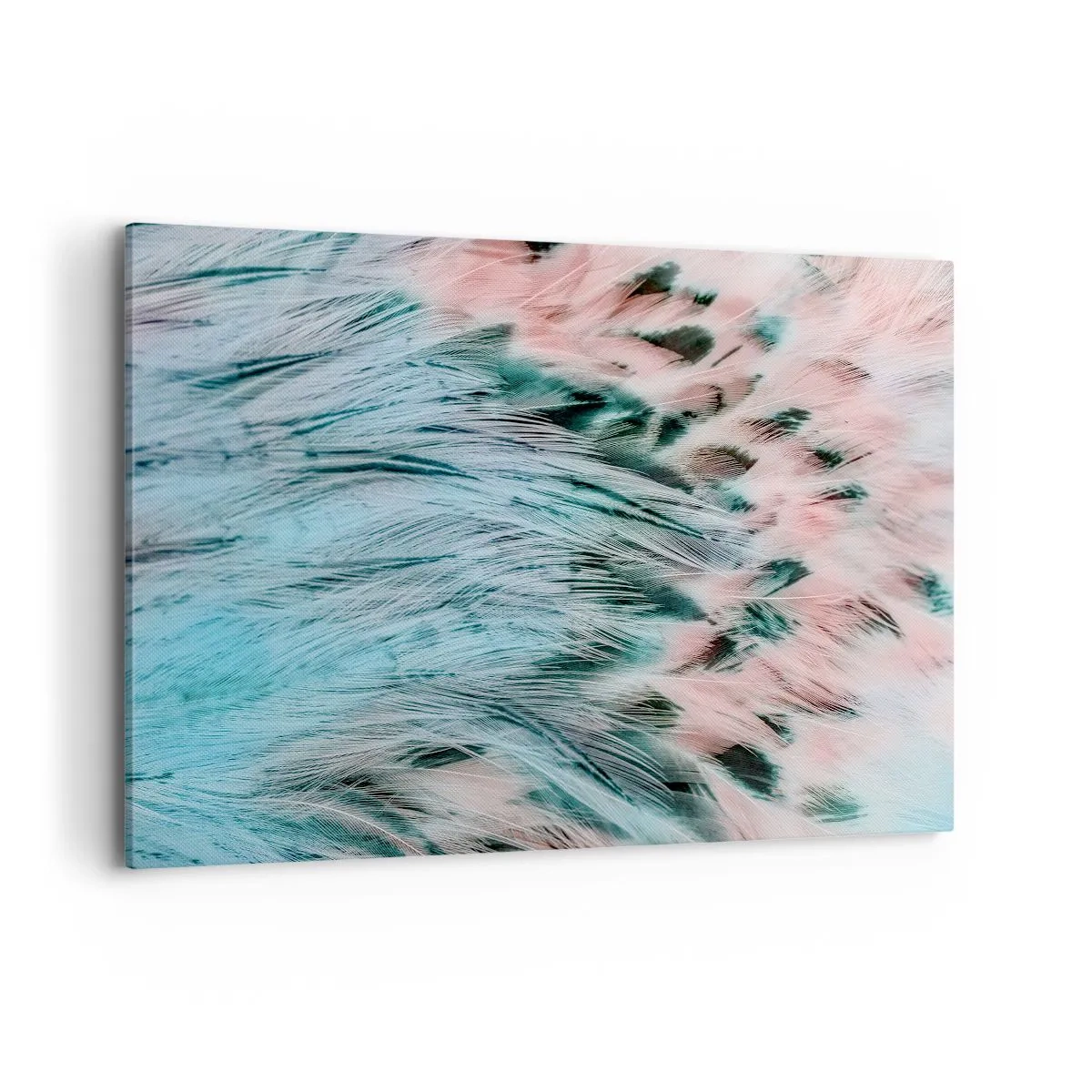 Bild auf Leinwand - Leinwandbild - Nahaufnahme von Federn in pastellfarbenen Saphir-Rosa-Farben - 100x70cm - Saphirrosa Daunen - Moderne Wanddekoration für Wohnzimmer und Schlafzimmer ARTTOR