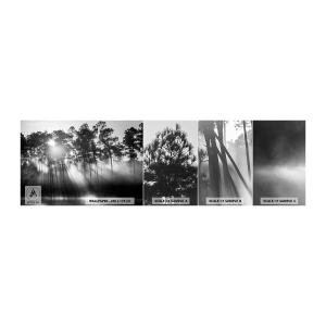 Fototapetenmuster Standard Eco - Unaufhaltsame Sonne - Landschaft, Wald, Natur - 100x30 cm