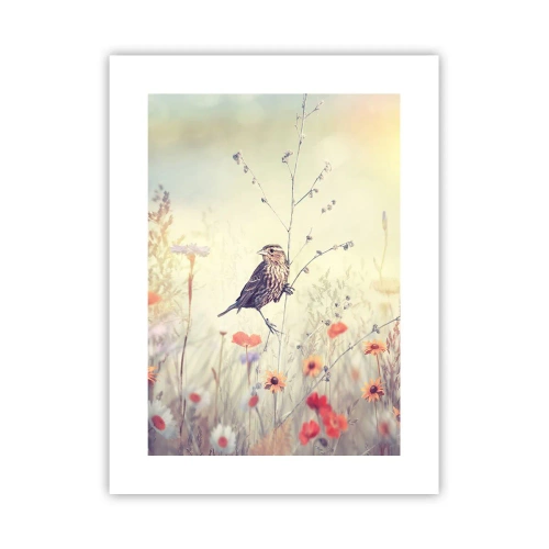 Poster - Vogelporträt mit einer Wiese im Hintergrund - 30x40 cm
