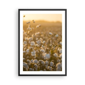 Poster in einem schwarzem Rahmen - Ein Baumwollfeld im warmen Licht der untergehenden Sonne - 50x70cm - Fluffiges Feld - Moderne Wanddekoration für Wohnzimmer und Schlafzimmer ARTTOR