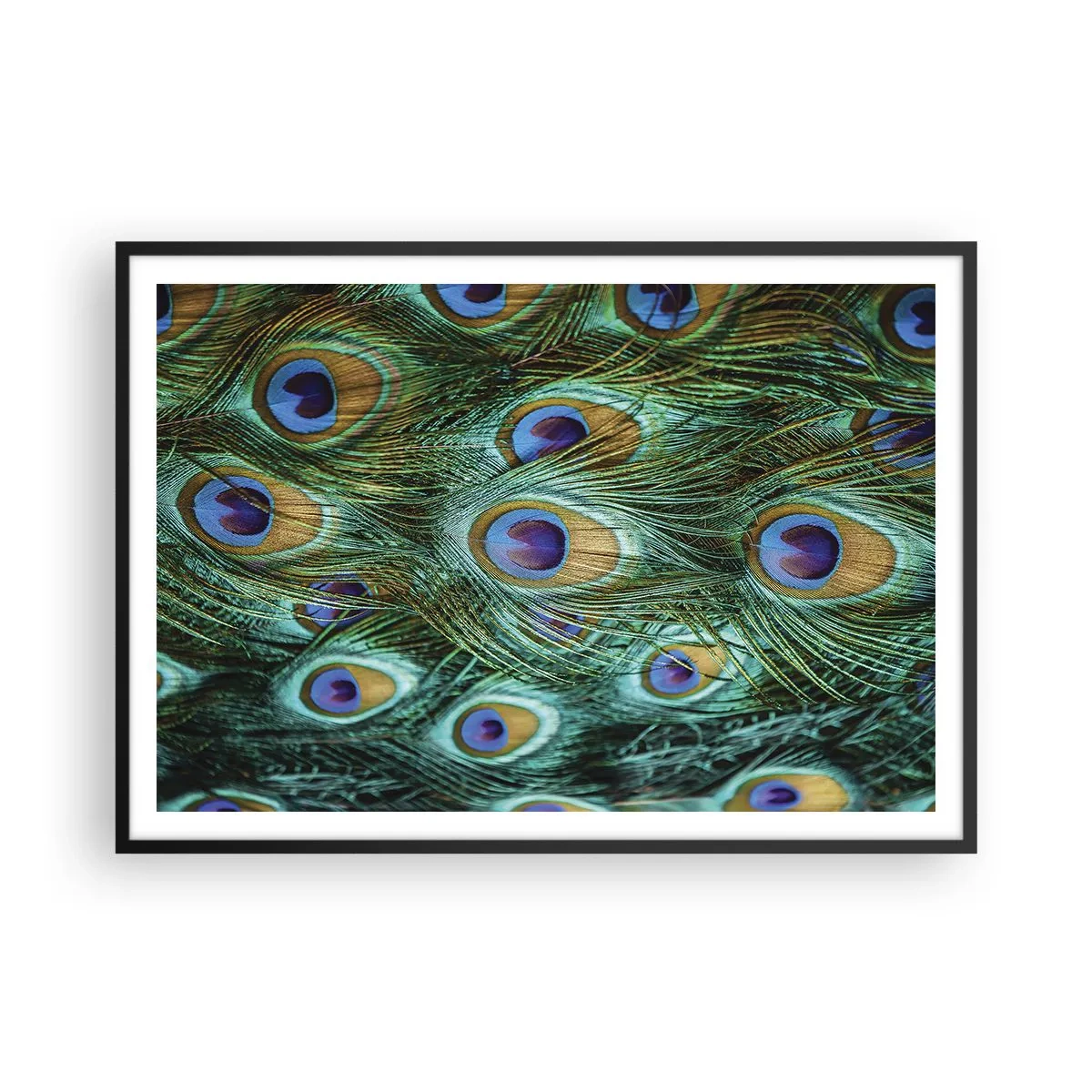 Poster in einem schwarzem Rahmen - Details von Pfauenfedern in satten Farben - 100x70cm - Ein Blick mit Pfauenaugen - Moderne Wanddekoration für Wohnzimmer und Schlafzimmer ARTTOR