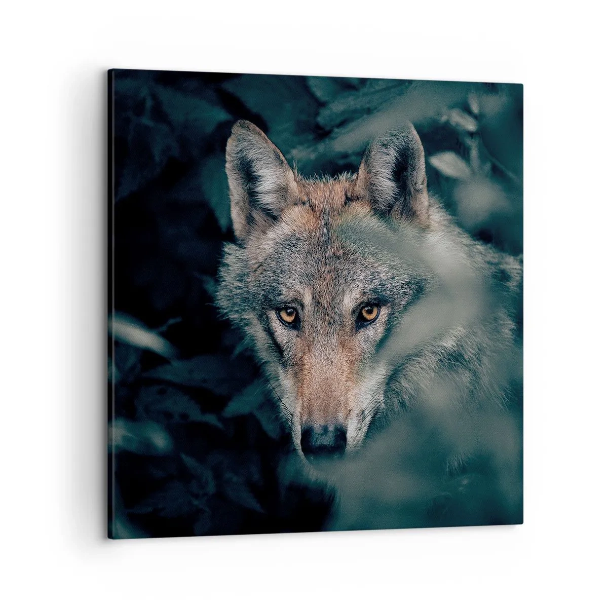 Bild auf Leinwand - Leinwandbild - Jäger - 50x50 cm