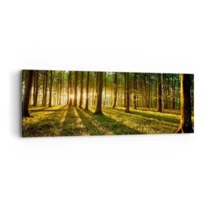 Bild auf Leinwand - Leinwandbild - Alle Frühlingsfotografie - 90x30 cm