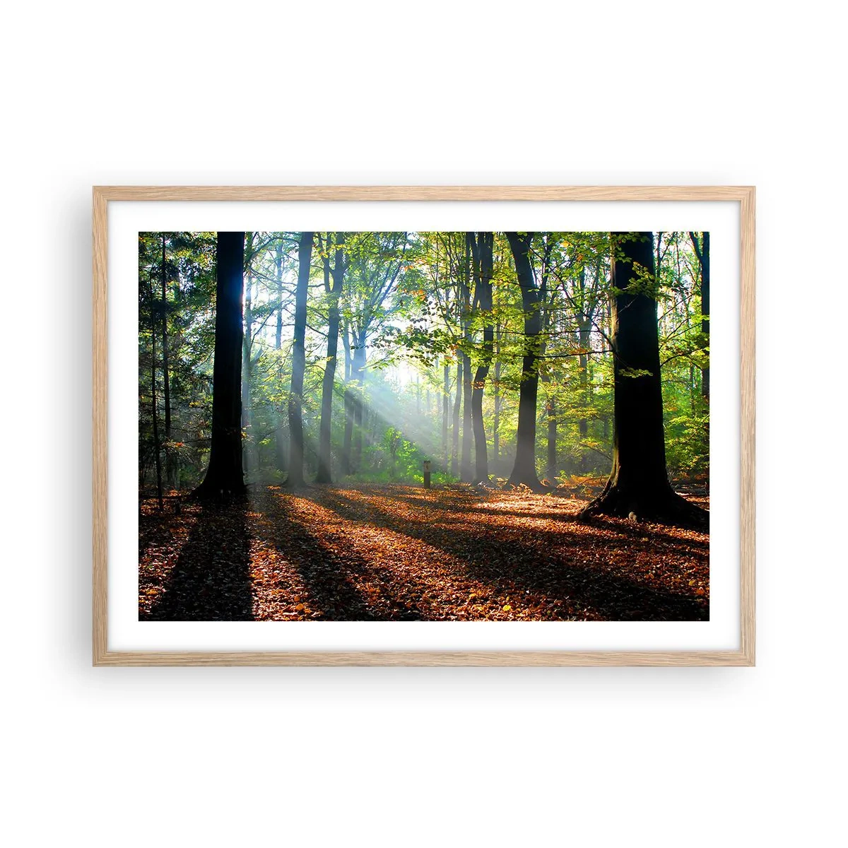 Poster in einem Rahmen aus heller Eiche - Licht und Schatten - 70x50 cm