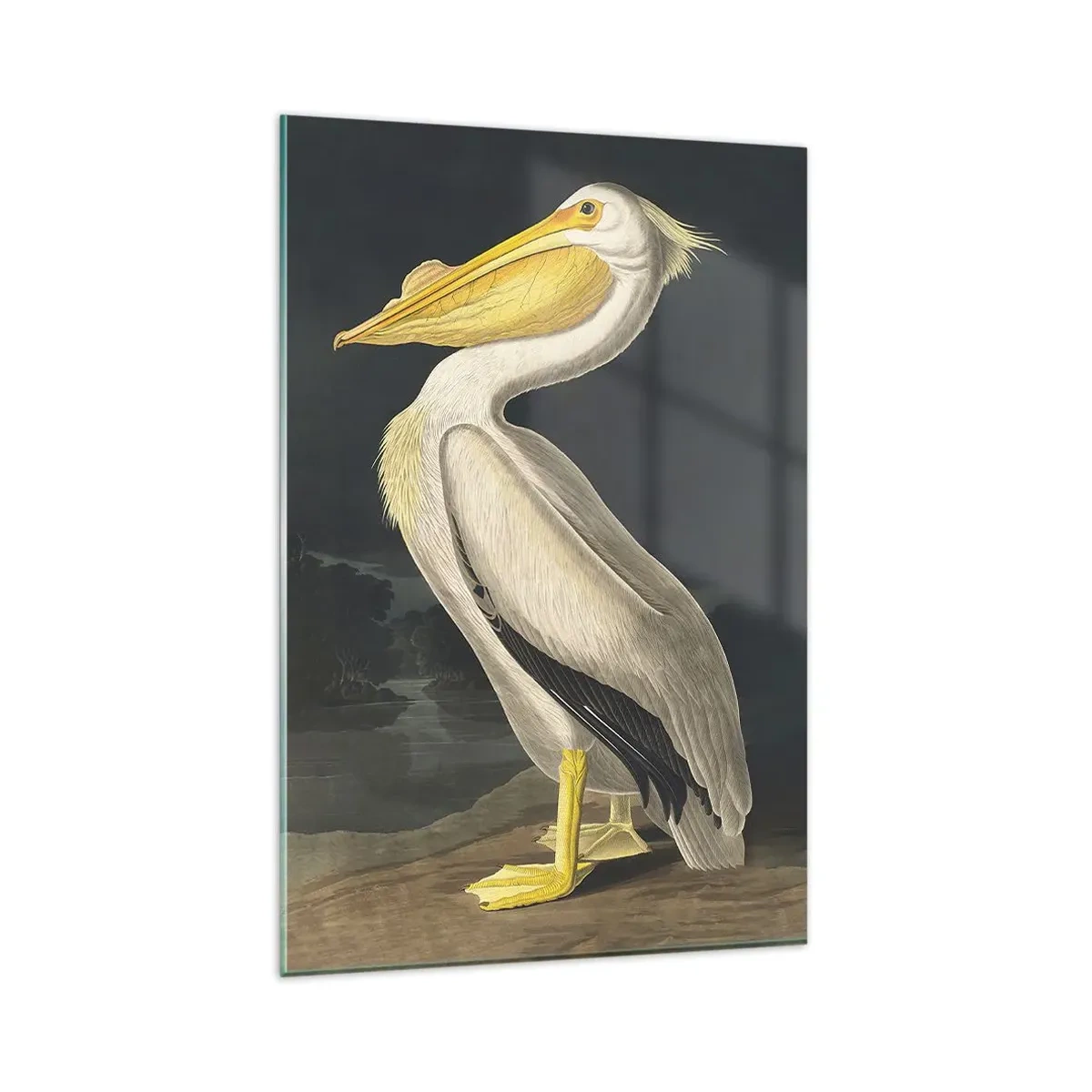 Glasbild - Bild auf glas - Voller Stolz - 80x120 cm