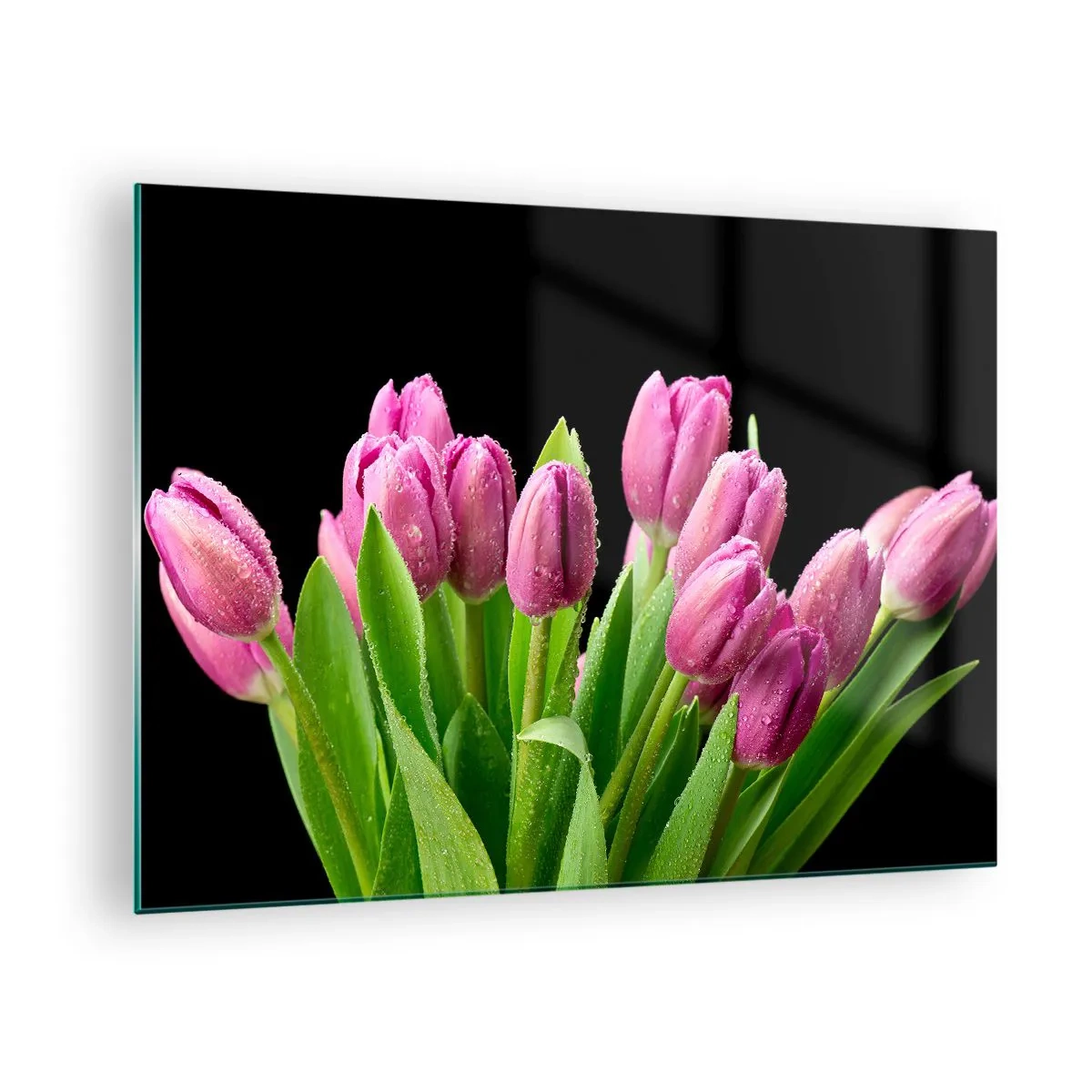 Glasbild - Bild auf glas - Ein Strauß rosa Tulpen, bedeckt mit Wassertropfen auf schwarzem Hintergrund. - 70x50cm - Lila Frühlingsfreude - Moderne Wanddekoration für Wohnzimmer und Schlafzimmer ARTTOR