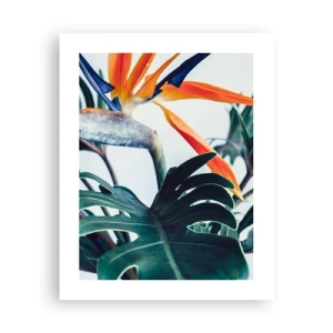 Poster - Vogelbusch - 40x50 cm