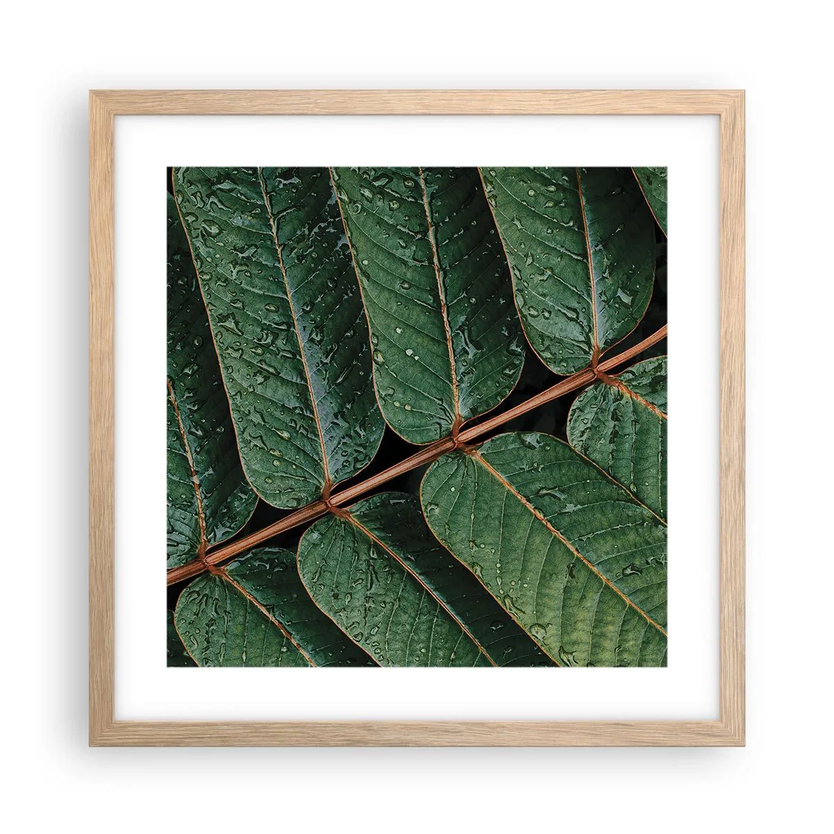 Poster in einem Rahmen aus heller Eiche - Im grünen Rhythmus - 40x40 cm