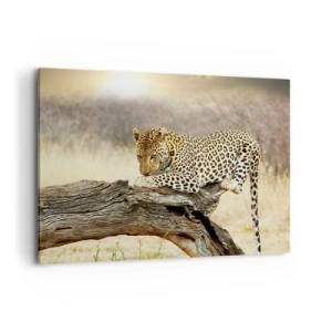 Bild auf Leinwand - Leinwandbild - Ein Leopard ruht auf einem Baumstamm in der Savanne - 100x70cm - Ich gehe meine eigenen Wege - Moderne Wanddekoration für Wohnzimmer und Schlafzimmer ARTTOR