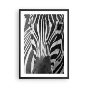 Poster in einem schwarzem Rahmen - Porträt eines Zebras in einer Schwarz-Weiß-Komposition - 50x70cm - Die Welt ist schwarz und weiß - Moderne Wanddekoration für Wohnzimmer und Schlafzimmer ARTTOR