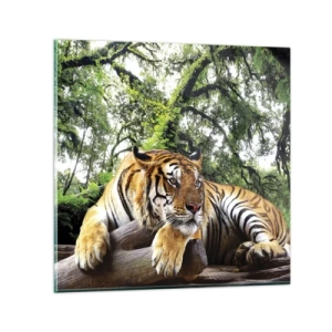 Glasbild - Bild auf glas - Hochachtungsvoll - 50x50 cm