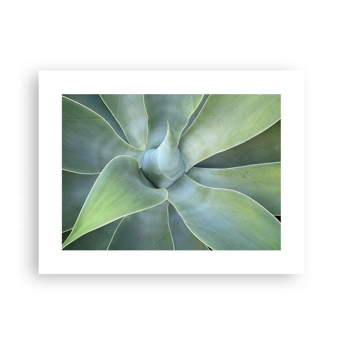 Poster - Geburt des Grüns - 40x30 cm