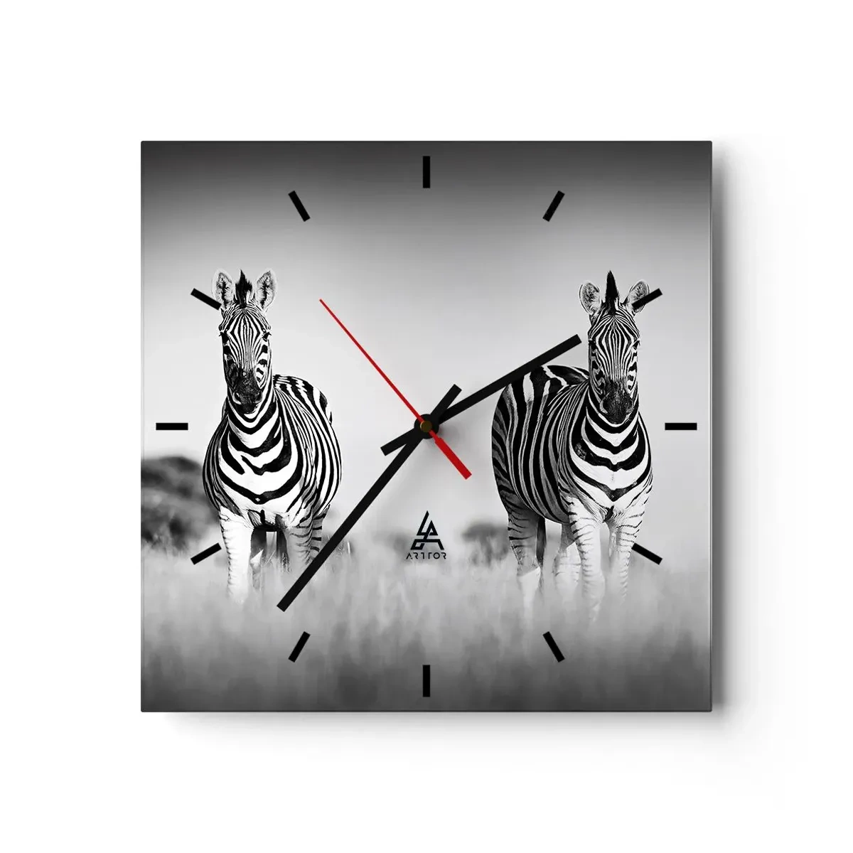 Wanduhr - Glasuhr - Zwei Zebras in der Savanne im monochromen Stil - 30x30cm - Die Welt ist doch schwarz-weiß - Moderne Wanddekoration für Wohnzimmer und Schlafzimmer ARTTOR