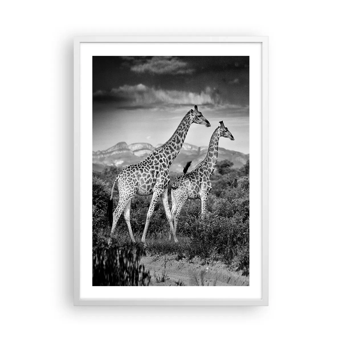 Poster in einem weißen Rahmen - Hohe Sphären in Afrika - 50x70 cm