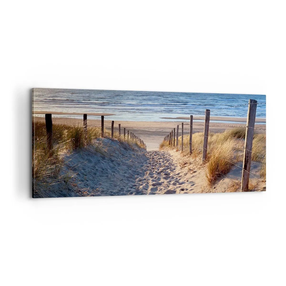 Bild auf Leinwand - Leinwandbild - Das Rauschen des Meeres, der Gesang der Vögel, ein wilder Strand im Gras ... - 100x40 cm