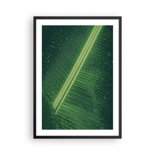 Poster in einem schwarzem Rahmen - Nahaufnahme eines grünen Blattes mit Wassertropfen - 50x70cm - Die Struktur des Grüns - Moderne Wanddekoration für Wohnzimmer und Schlafzimmer ARTTOR
