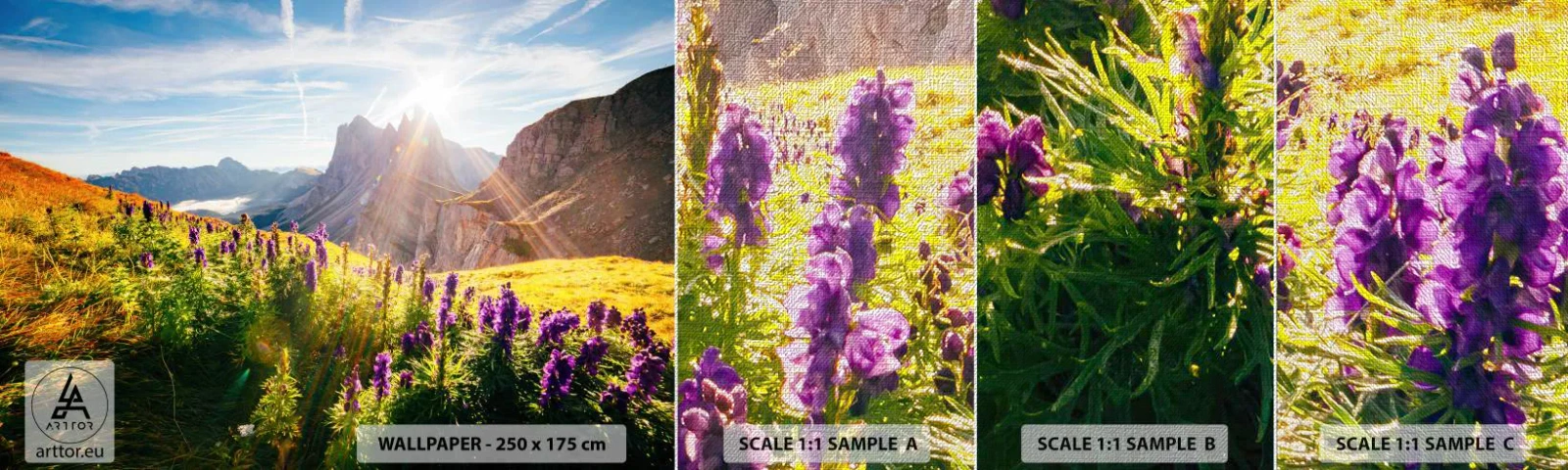 Fototapeten Muster Premium Canvas - Das geheime Leben der Kräuter - Landschaft, Berge, Bergpfade - 100x30 cm