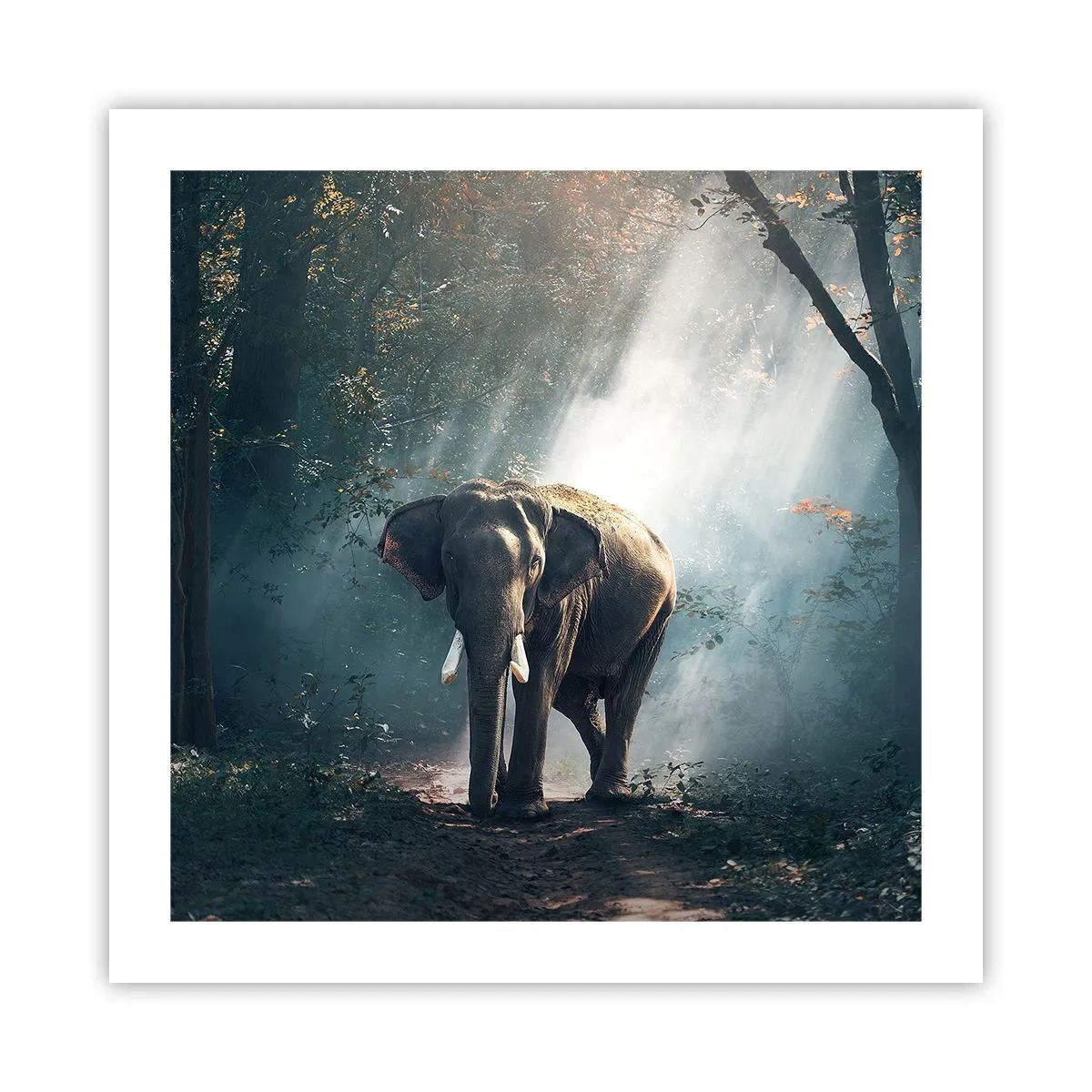 Poster - Ein gemütlicher Spaziergang - 50x50 cm