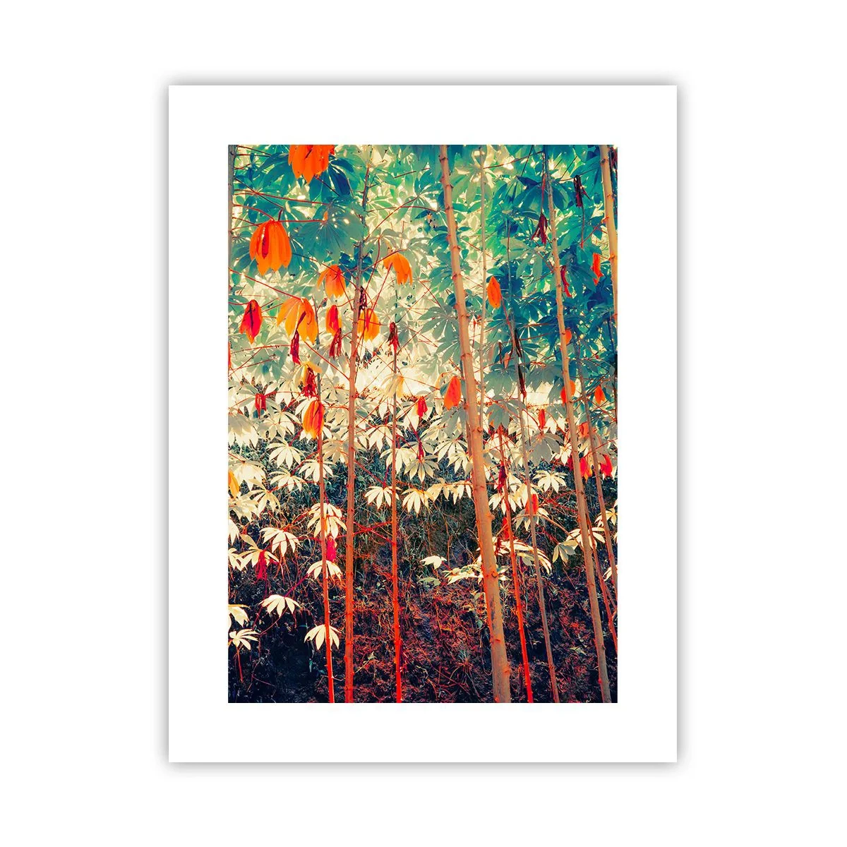 Poster - Das geheime Leben der Blätter - 30x40 cm