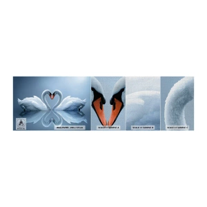 Fototapeten Muster Premium Canvas - Zeit für die Liebe - Schwäne, Liebe, Herz - 100x30 cm