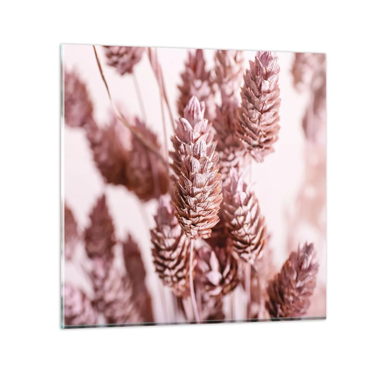 Glasbild - Bild auf glas - Scheinbar unauffällig - 50x50 cm