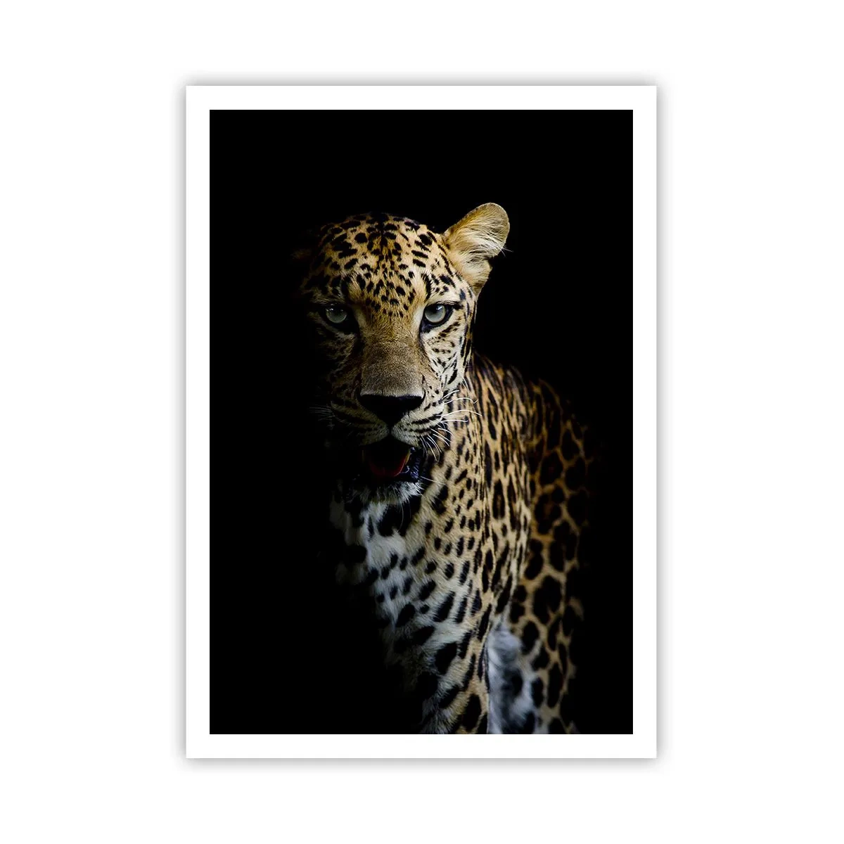 Poster - Dunkle Schönheit - 70x100 cm