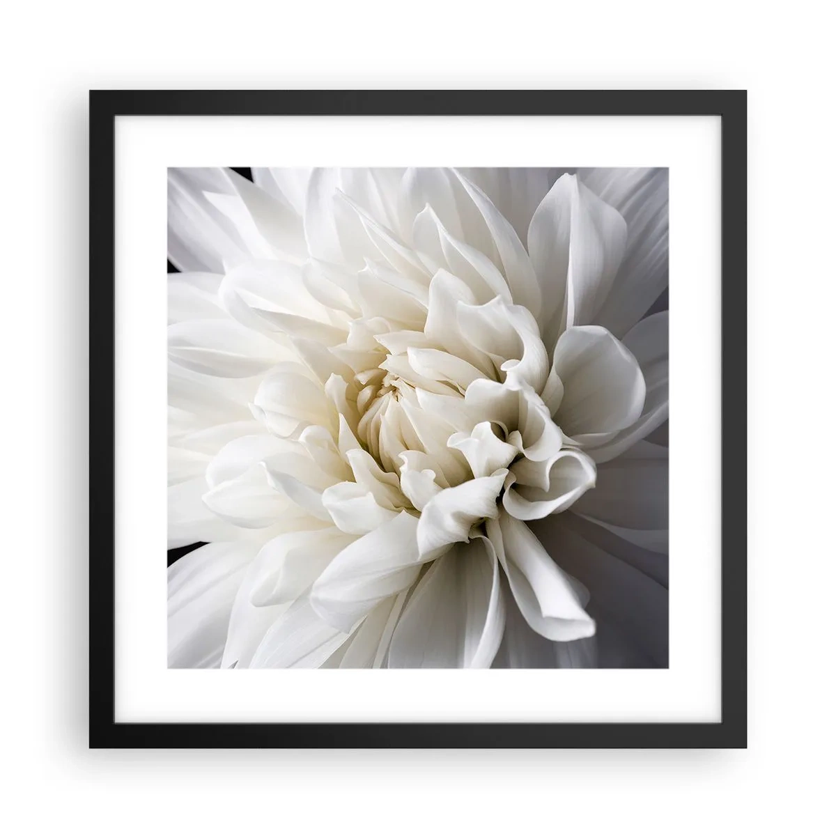 Poster in einem schwarzem Rahmen - Der Morgen der Braut - 40x40 cm