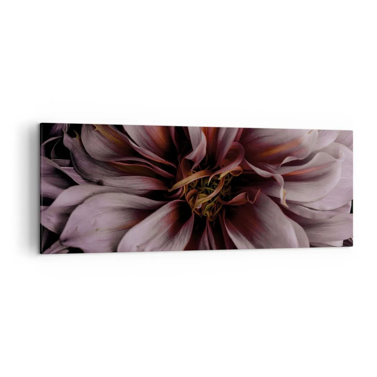 Bild auf Leinwand - Leinwandbild - Nahaufnahme einer großen Blume in dezenten Farben - 140x50cm - Ein Blumenherz - Moderne Wanddekoration für Wohnzimmer und Schlafzimmer ARTTOR