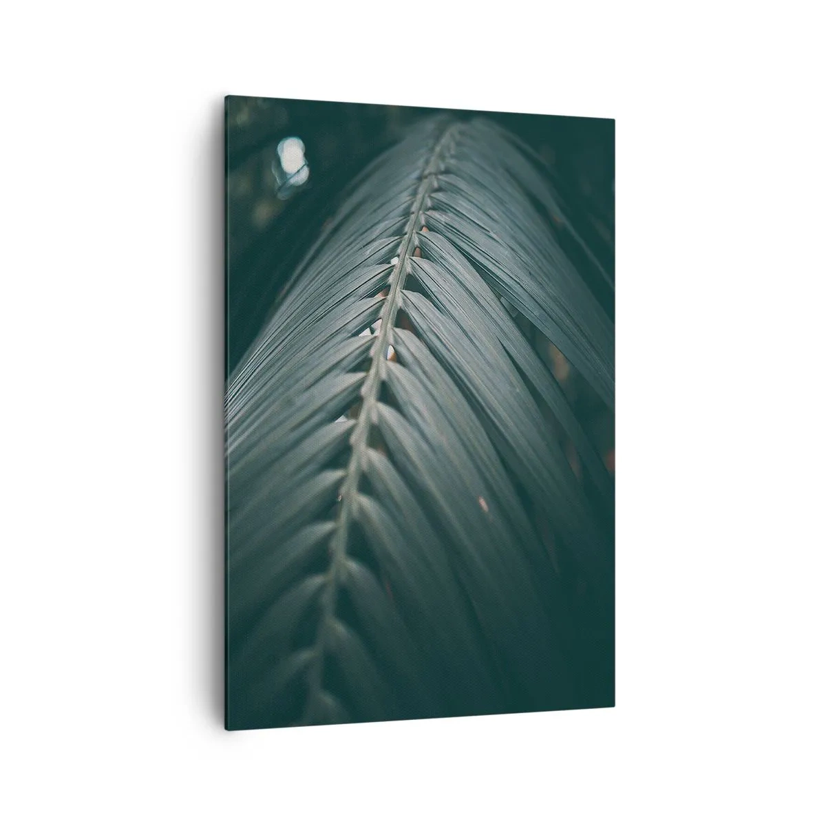 Bild auf Leinwand - Leinwandbild - Nahaufnahme eines dunkel getönten Palmblattdetails - 70x100cm - Die Präzision der Natur - Moderne Wanddekoration für Wohnzimmer und Schlafzimmer ARTTOR
