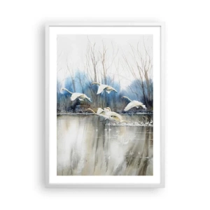 Poster in einem weißen Rahmen - Wie im Märchen von den wilden Schwänen - 50x70 cm