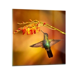 Glasbild - Bild auf glas - Ein Lichtbote nach den Maya - 40x40 cm