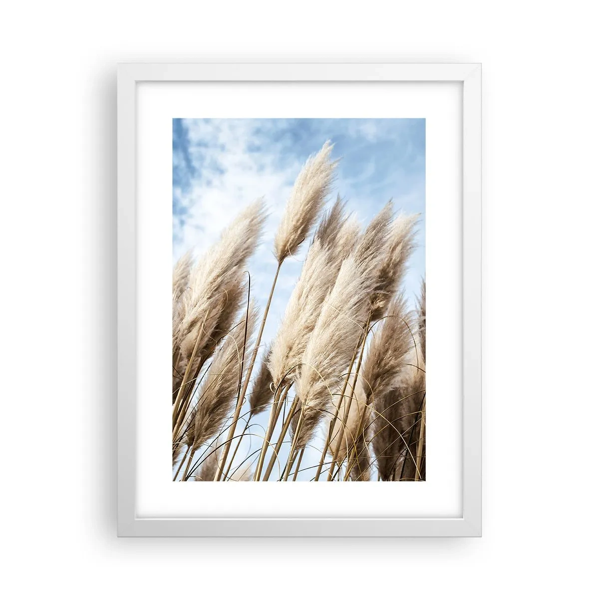 Poster in einem weißen Rahmen - Sonnige und windige Liebkosungen - 30x40 cm