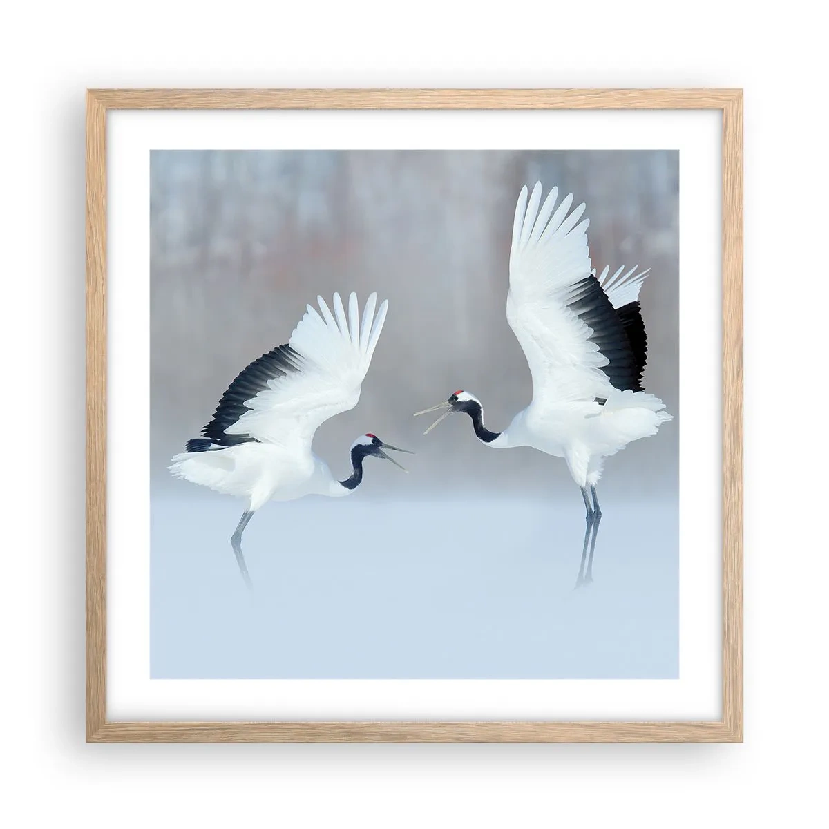 Poster in einem Rahmen aus heller Eiche - Tanz im Nebel - 50x50 cm