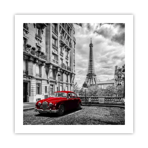 Poster - Raubtier in der Stadt - 50x50 cm