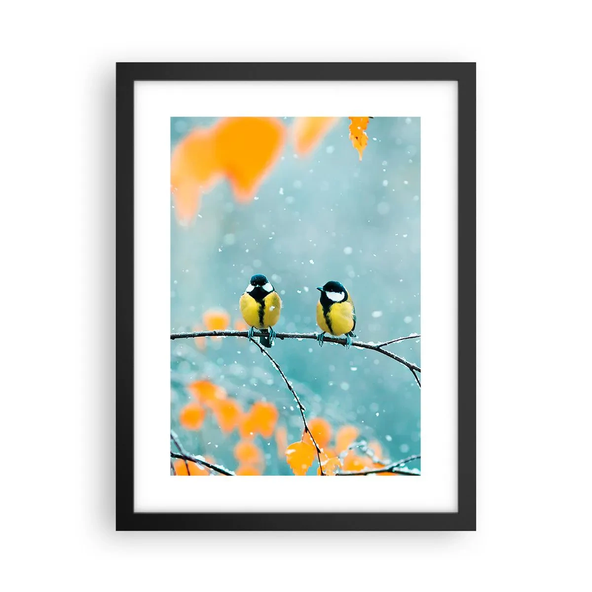 Poster in einem schwarzem Rahmen - Vogelklatsch - 30x40 cm