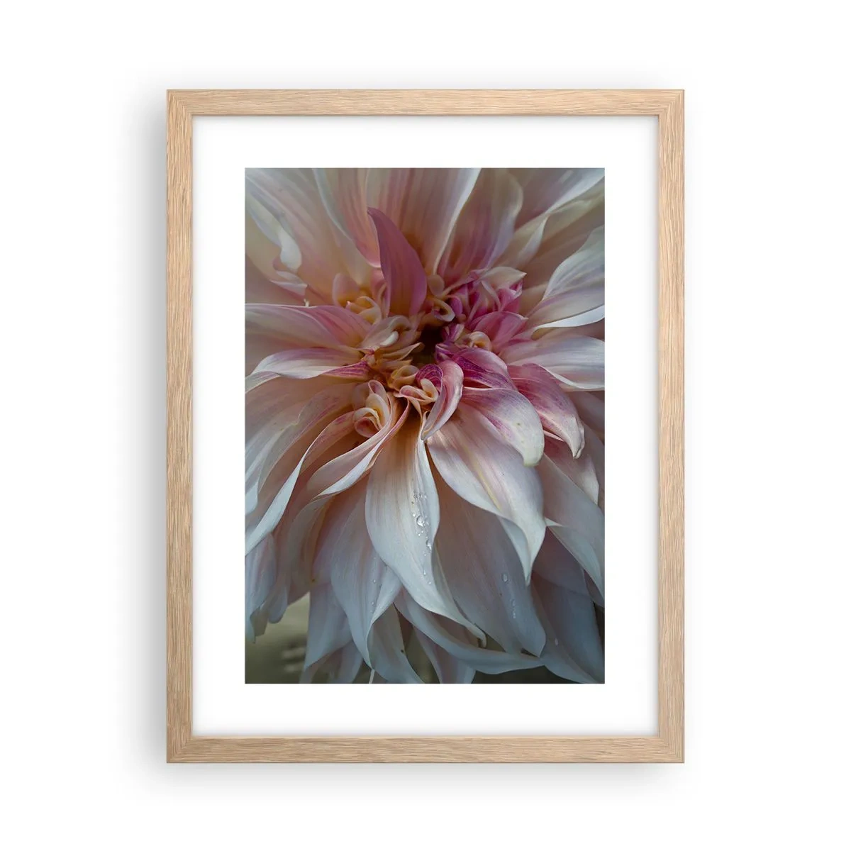 Poster in einem Rahmen aus heller Eiche - Blühende Frische - 30x40 cm
