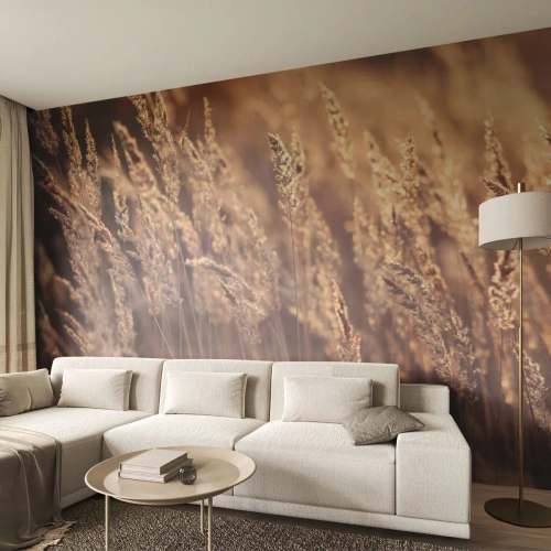 Fototapete Standard Eco - Goldene Grasähren im Licht der untergehenden Sonne - 100x70cm - Bereit, den Herbst willkommen zu heißen - Moderne Wanddekoration für Wohnzimmer und Schlafzimmer ARTTOR