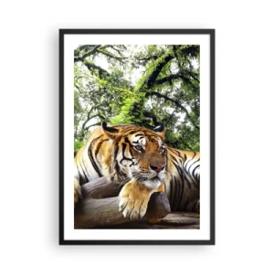 Poster in einem schwarzem Rahmen - Ein Tiger ruht zwischen den grünen Bäumen - 50x70cm - Hochachtungsvoll - Moderne Wanddekoration für Wohnzimmer und Schlafzimmer ARTTOR