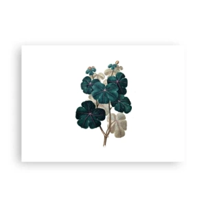 Poster - Aus dem alten Herbarium - 70x50 cm