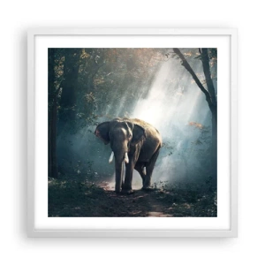 Poster in einem weißen Rahmen - Ein gemütlicher Spaziergang - 50x50 cm