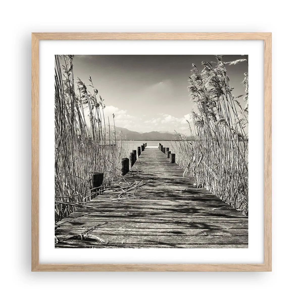 Poster in einem Rahmen aus heller Eiche - In der Stille des Grases - 50x50 cm