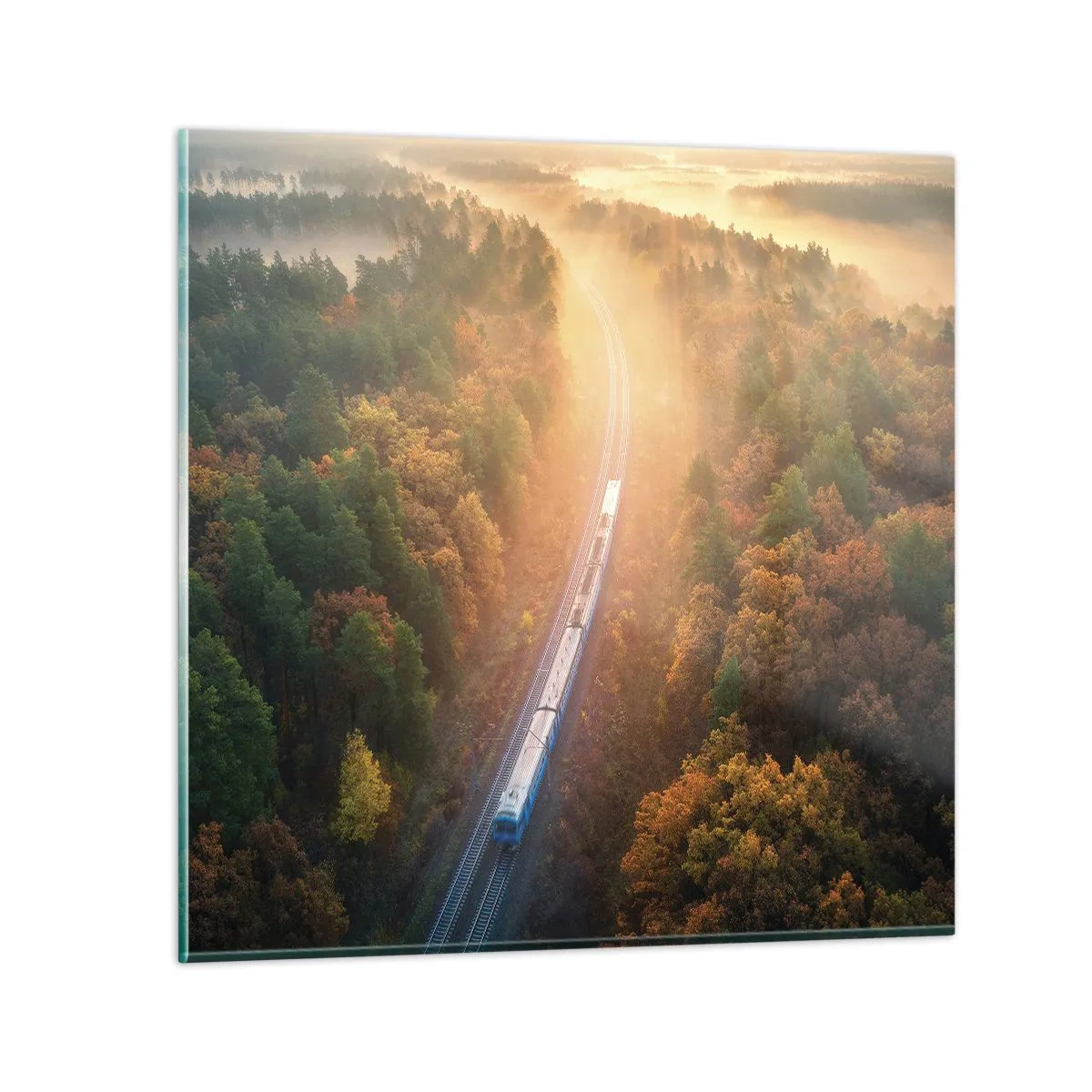 Glasbild - Bild auf glas - Herbstreise - 70x70 cm