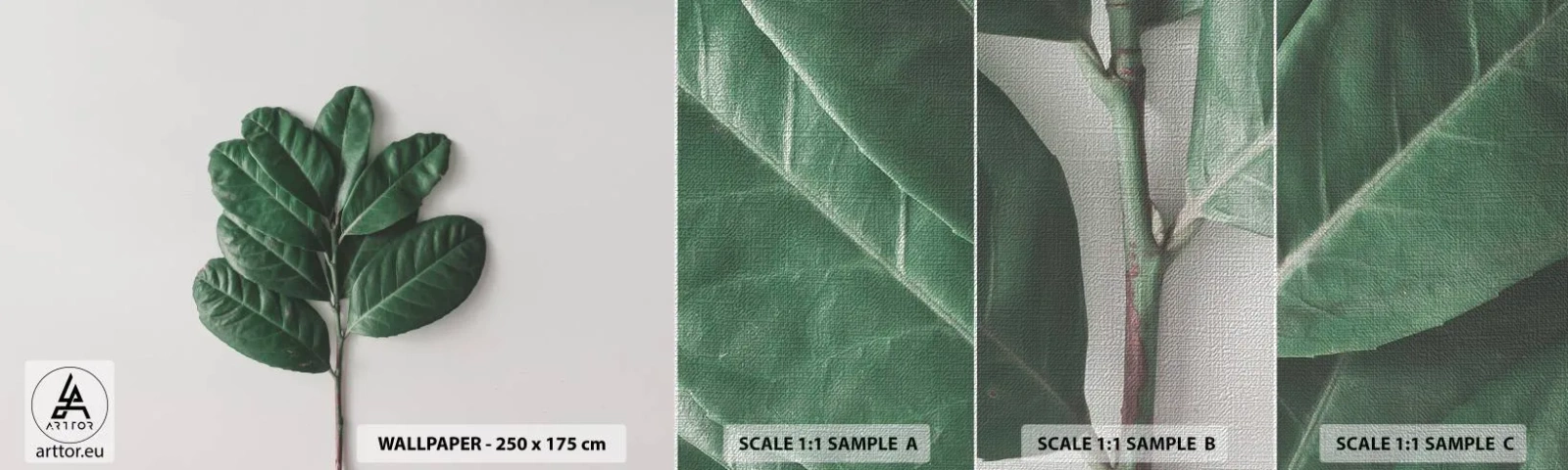 Fototapeten Muster Premium Canvas - Eine Zeichnung purer Natur - Blätter, Anlage, Natur - 100x30 cm